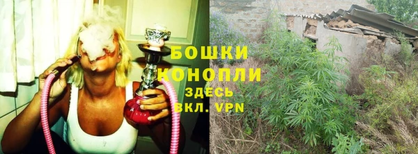 ПСИЛОЦИБИНОВЫЕ ГРИБЫ Алексеевка